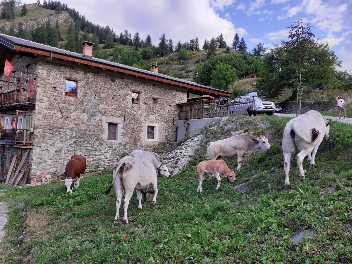 Canosio Agri-B&B Lou Col מראה חיצוני תמונה